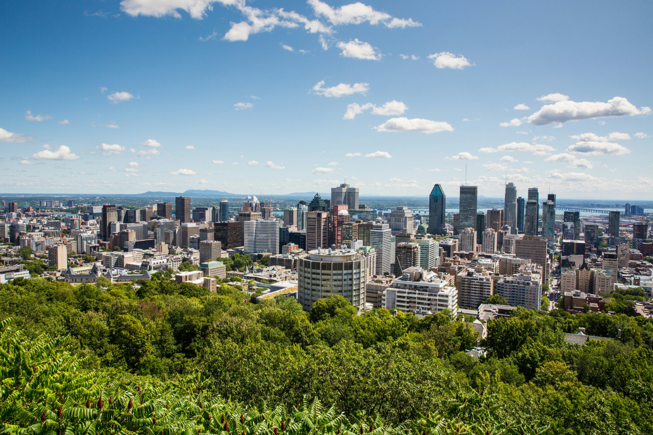 Areal view of Montreal with greenery in the foreground and high rise building in the distance and blue sky with a few clouds.
